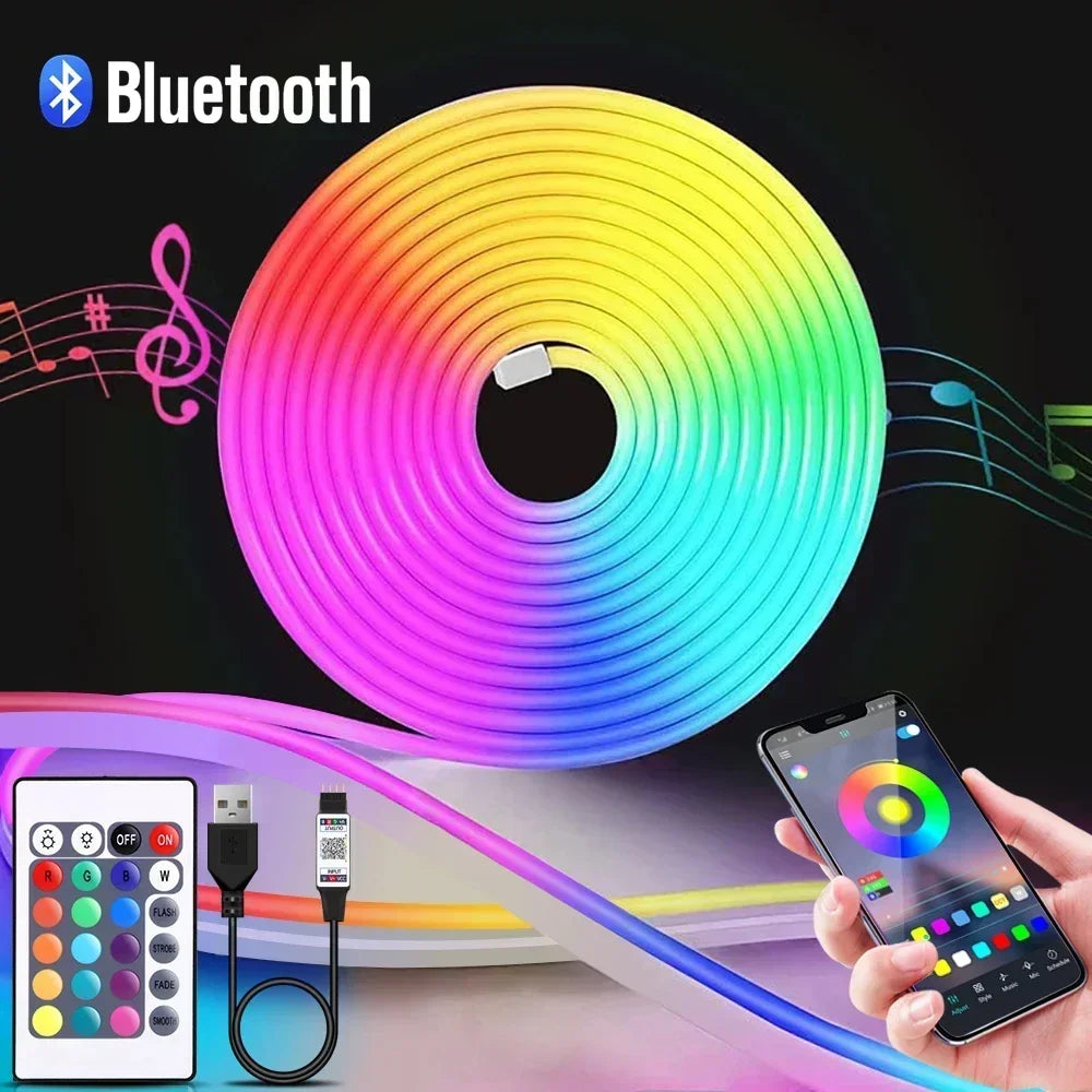 RGB Neon LED Strip 24Key Remote Control Music Sync Power Waterproof Decor Remote Control Flexible Ribbon for Home Decor Lighting
